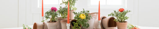 Spring Centrepiece Ideas for Easter