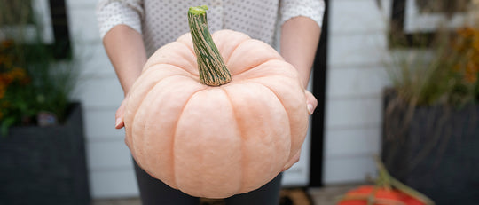 Baking with Your Halloween Pumpkin