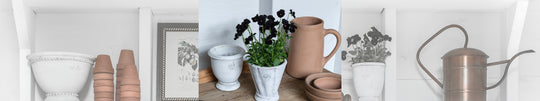 A Potting Shed for All Seasons
