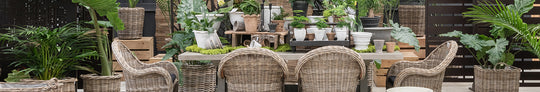 Wicker for A Fall Home
