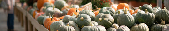 Decorating with Pumpkins for Fall