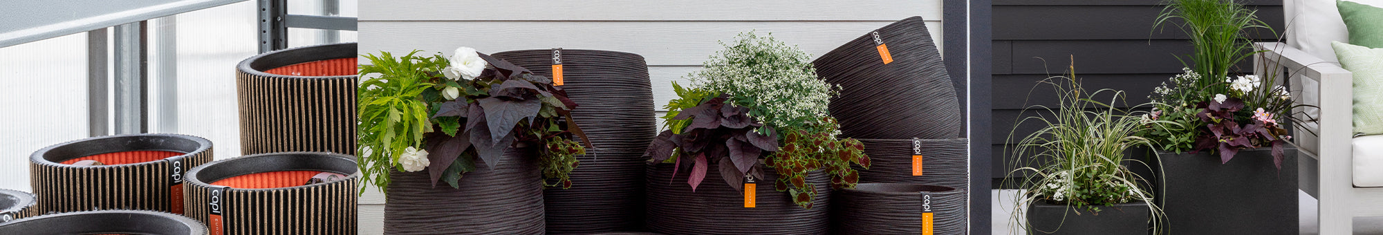 Capi Pot Capi Pots - for indoors & outside – West Coast Gardens
