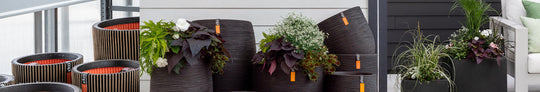 Capi Pots - for indoors & outside