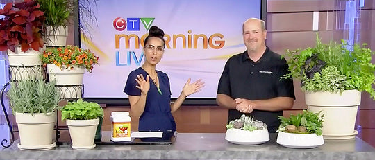 Gardening Tips for Small Spaces - Jason on CTV Morning Live