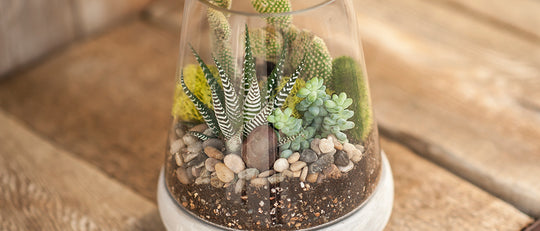 Make Your Own Industrial Chic Terrarium