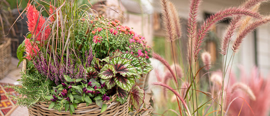 Autumn Garden Sweetheart Basket
