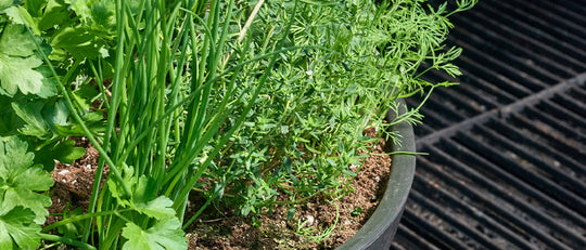 Summer BBQ Planter