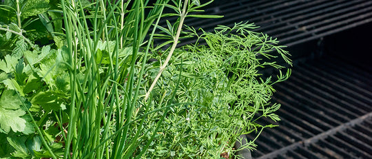 How to Spice Things Up on the Grill with a Herb Garden