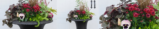 Dramatic Fall Planter in Black