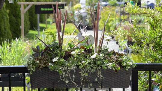 How To Make a Classic White Window Box