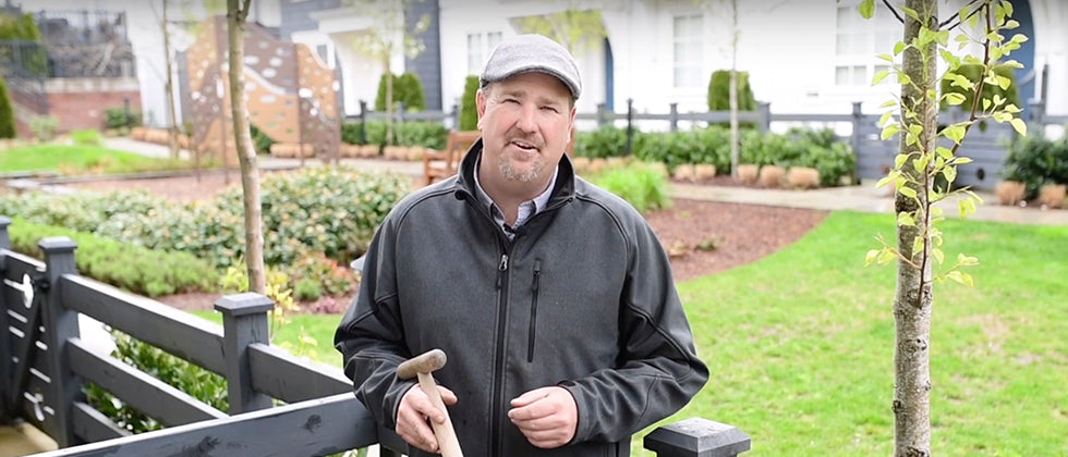 Dutch Hoyer How to Use a Dutch Hoe – West Coast Gardens