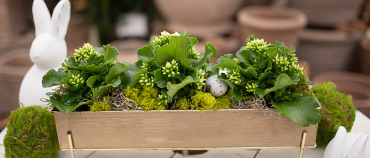 Make Your Own Spring White Blooms Centrepiece