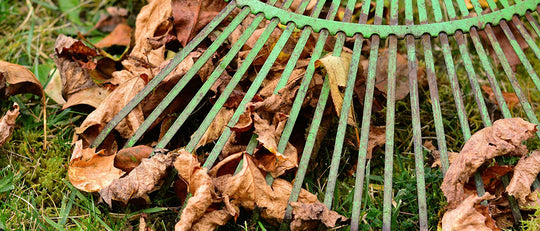 10 Things To Do Before Winter - Your Fall Garden Cleanup
