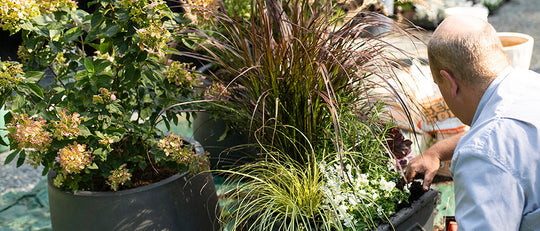 Planting Fall Containers for the Porch