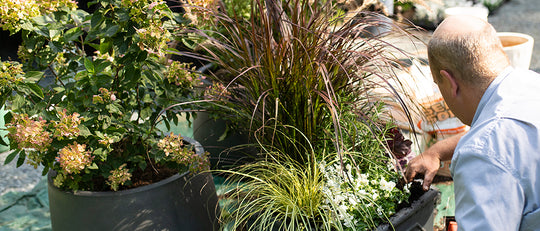 Planting Fall Containers for the Porch