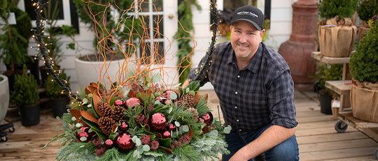 Holiday Halo Evergreens Winter Planter