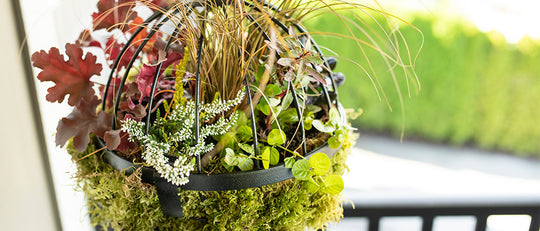 Make A Mixed Fall Hanging Basket