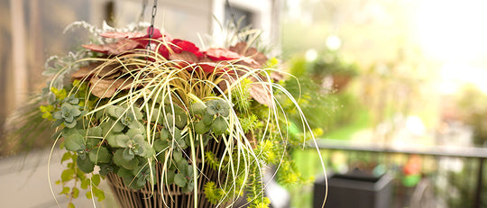 DIY Autumn Perennial Basket