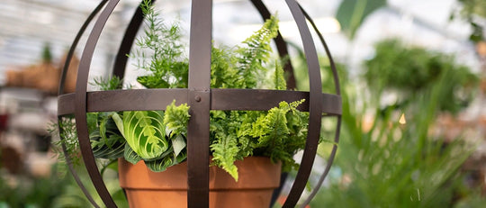 DIY Hanging Tropical Orb Planter