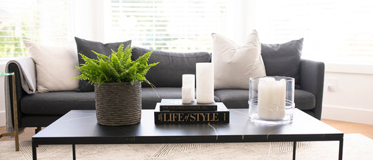 The Right Spot for All Your Indoor Plants
