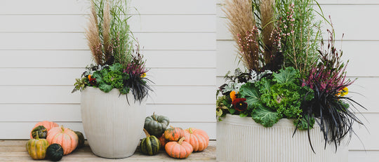 Create a Joyful Autumn Planter