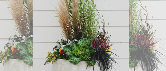 Joyful Autumn Planter