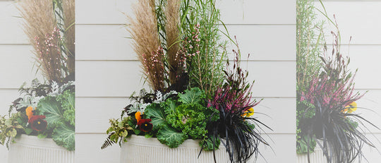 Joyful Autumn Planter