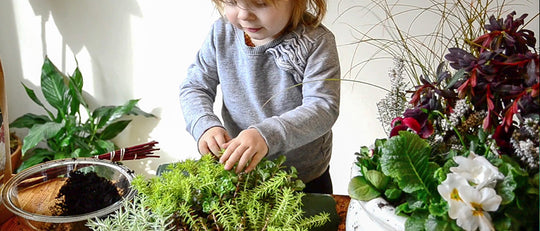 Spring Canadian Celebration Planter with Kids
