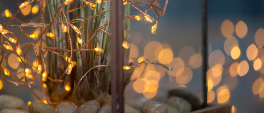 Tillandsia Lantern with Lights