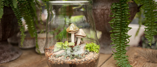 How to Plant A Lush Terrarium