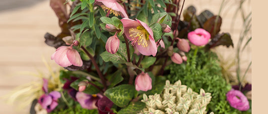 Marsala Spring Container Planter