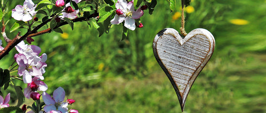 Creating a Unique Memory Garden