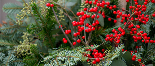 Winter Greens Entrance Planter