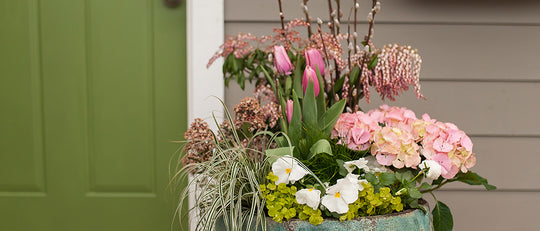 Pink Passion Planter