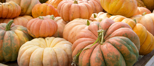 A Season for Pumpkins