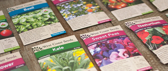 Seed Starting This Spring