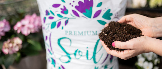 What's in My Potting Soil?