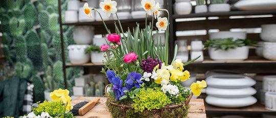 Plant Your Own Spring Meadow Moss Basket