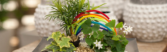 St. Patrick's Day Planter with a Pot-O-Gold!