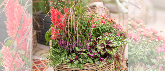 Autumn Garden Sweetheart Basket