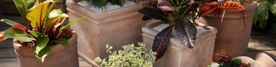 Why We Love Terra Cotta Pots!