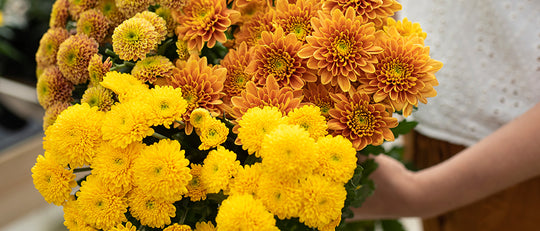 Creating a Thanksgiving Centrepiece from Your Garden