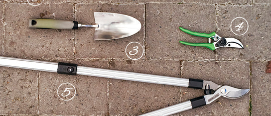 Jason’s Top 5 Must-Have Garden Tools