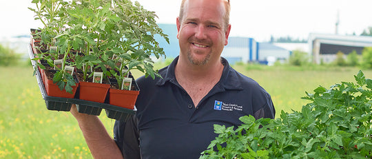 Jason’s Top Tomato Picks for the Season