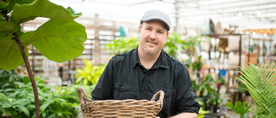 Tropical Indoor Plant Care Made Easy
