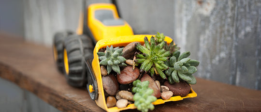 Recycling and Upcycling in the Garden