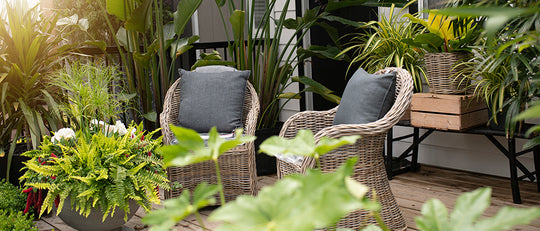 Tips for Growing Vegetables and Fruit on Your Patio or Balcony