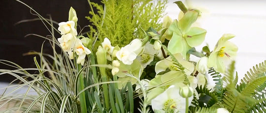 Early Spring Container Garden