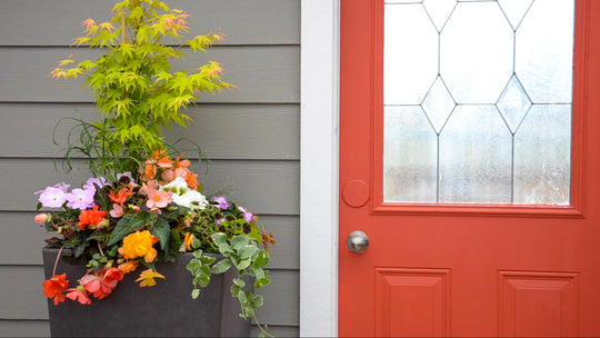 Orange Dream Shade Planter