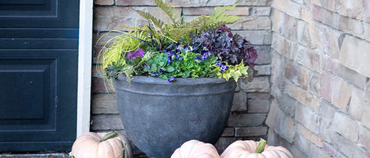 Violet Fall Foliage Planter